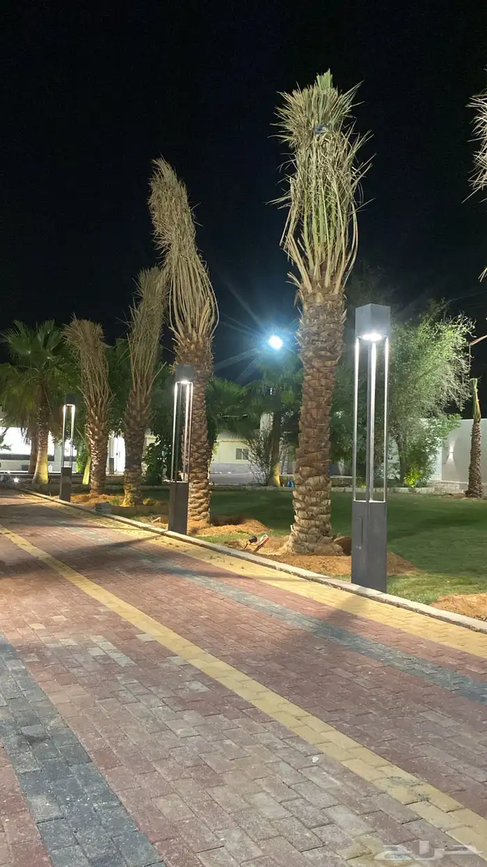 شاليه للايجار اليومي 10