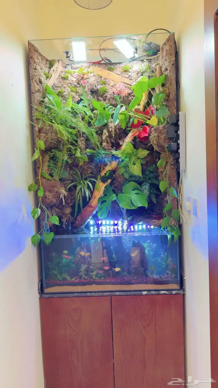 أحواض سمك ( أحواض بولداريوم ) Aquarium 15