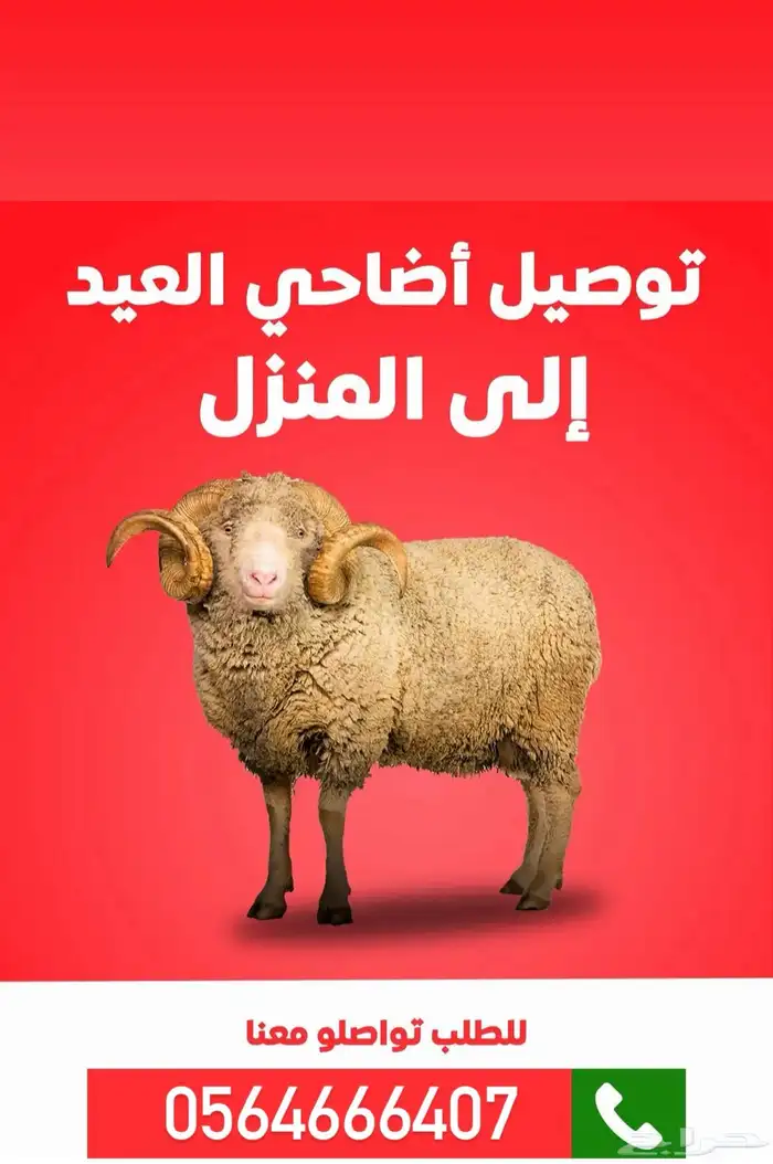 توصيل اضاحي وذبائح داخل الرياض وخارجها ففووورريي 0