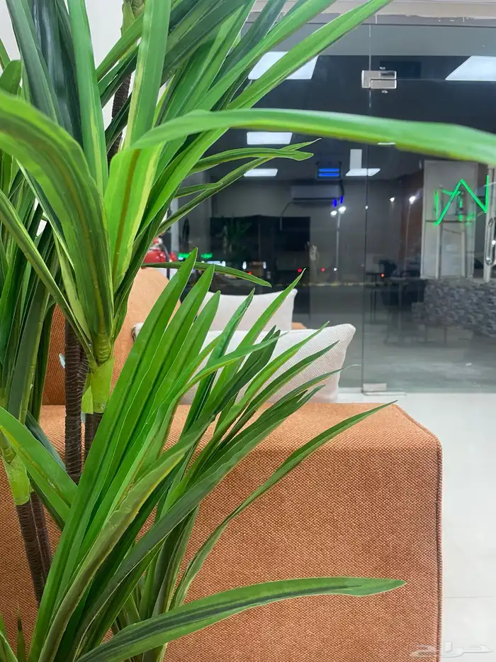 أغراض محل حلاقة للبيع ( عاجل ) 2