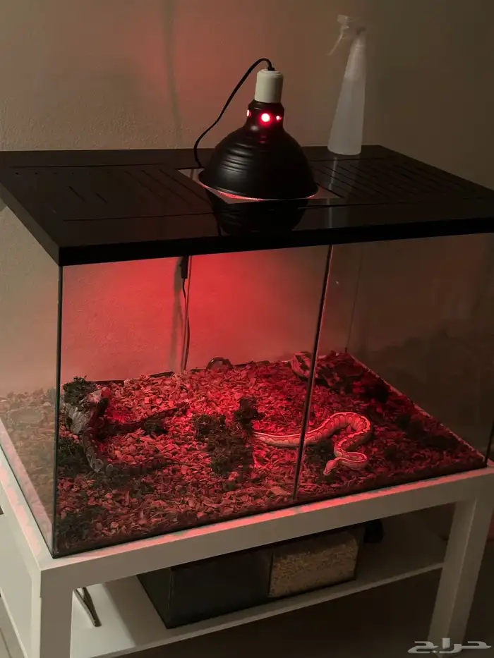 تفصيل أحواض زواحف 3