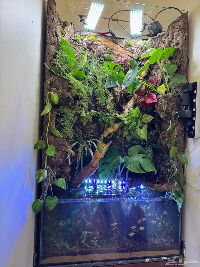 أحواض سمك ( أحواض بولداريوم ) Aquarium 13