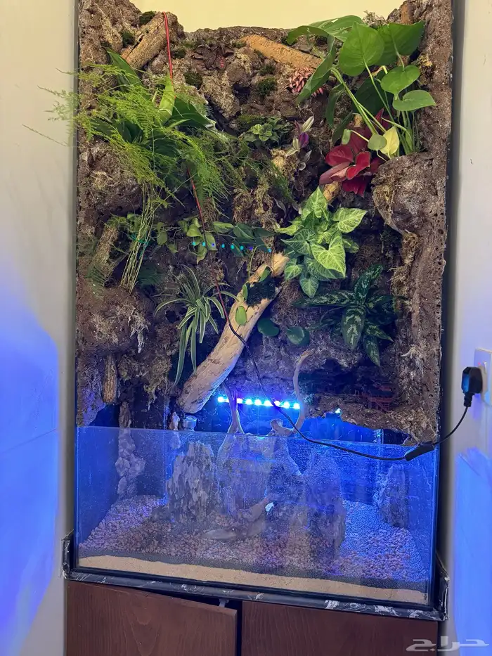 أحواض سمك ( أحواض بولداريوم ) Aquarium 7