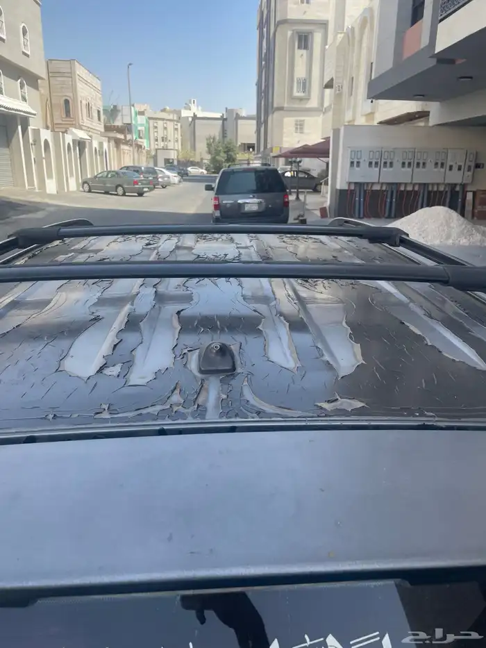 راف فور 2011 6