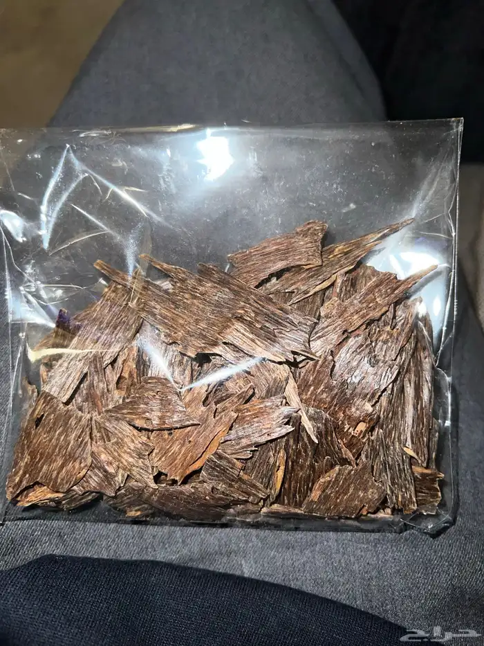 عود كلمنتان بونتينك 1