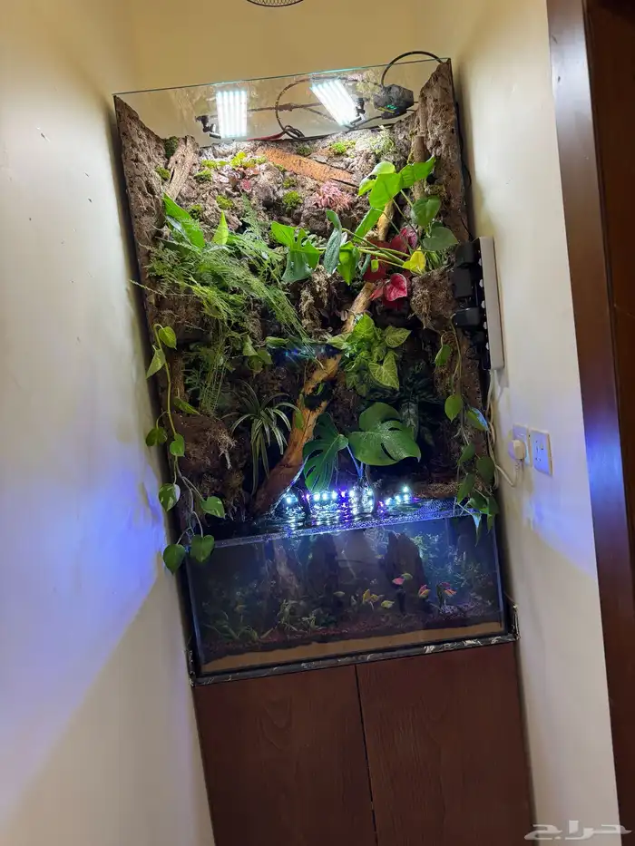 أحواض سمك ( أحواض بولداريوم ) Aquarium 9