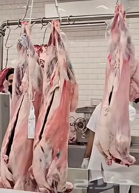 جزار عرض خاص لي الكميات 0