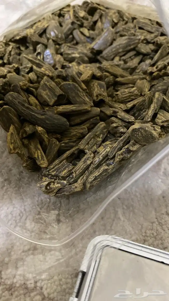 عود الكلمنتان الازرق الاصلي الاندنوسي  عود مروكي ملكي بيور 2