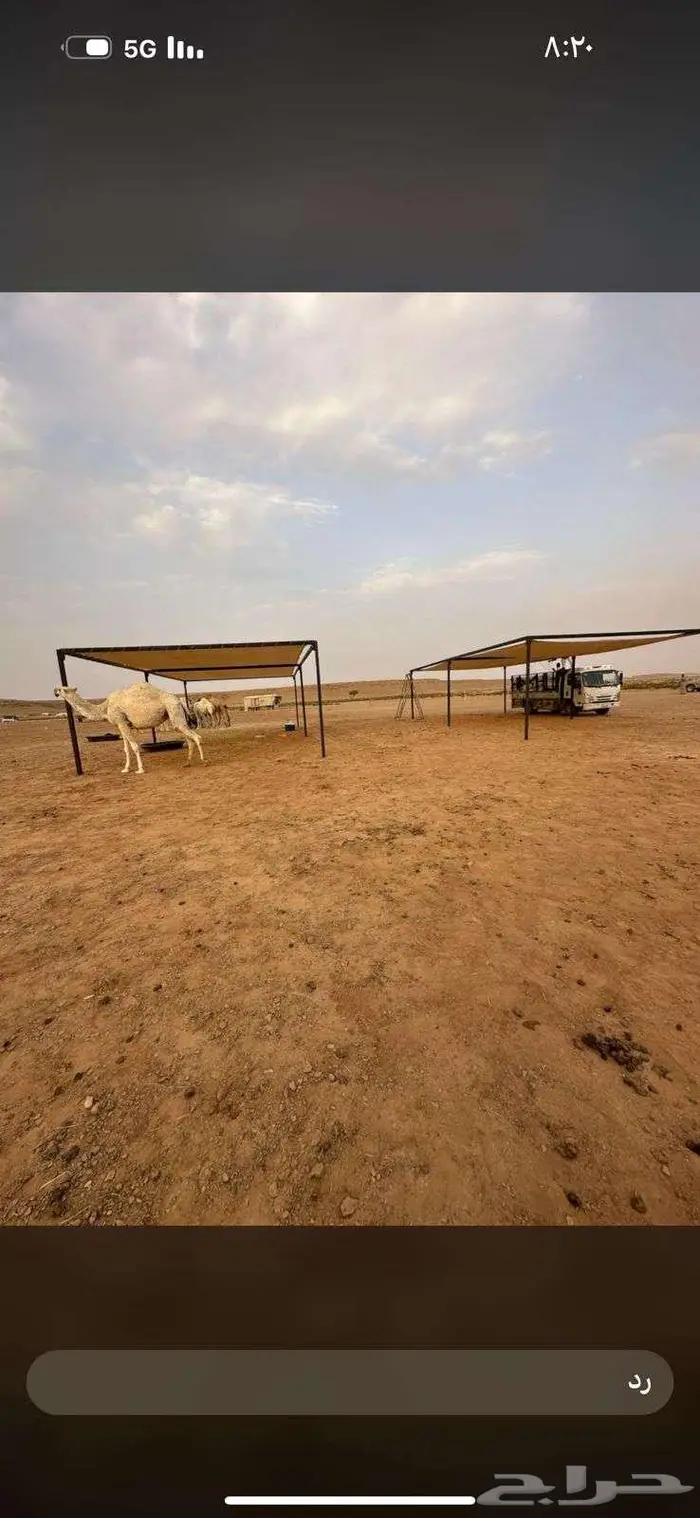 مظلات ابل جميع المقاسات 2