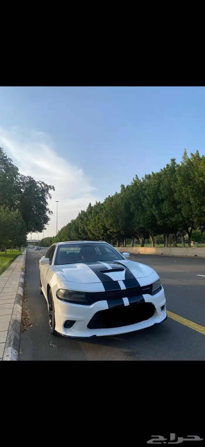 تم البيع 0