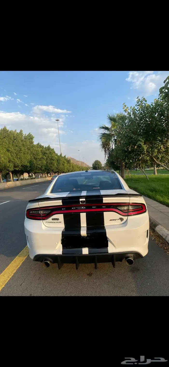 تم البيع 5