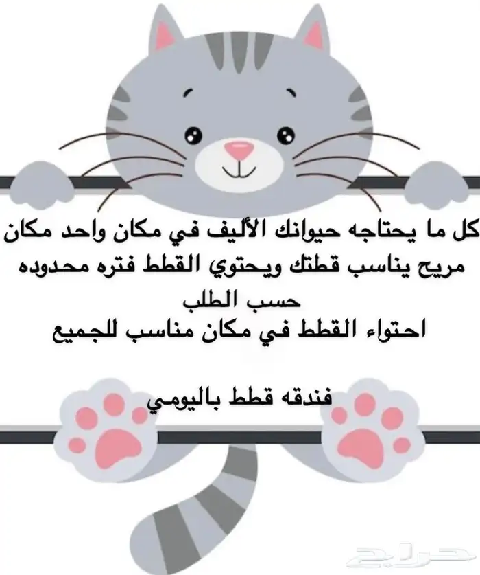 فندقه استضافه قطط 0
