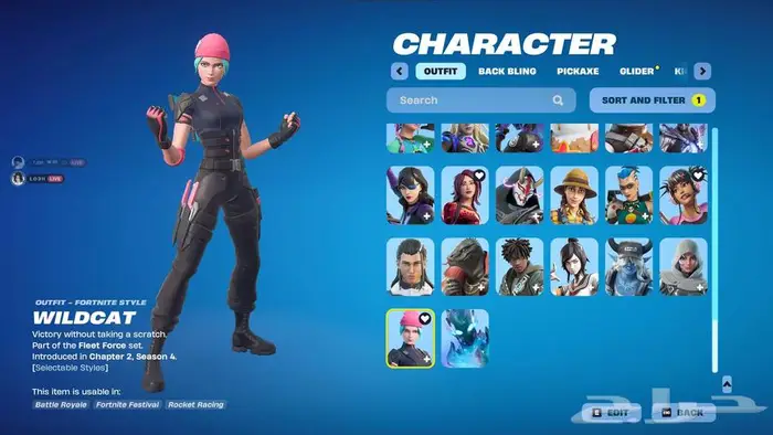 حساب wildcat او وايلد كات او نتندو 1