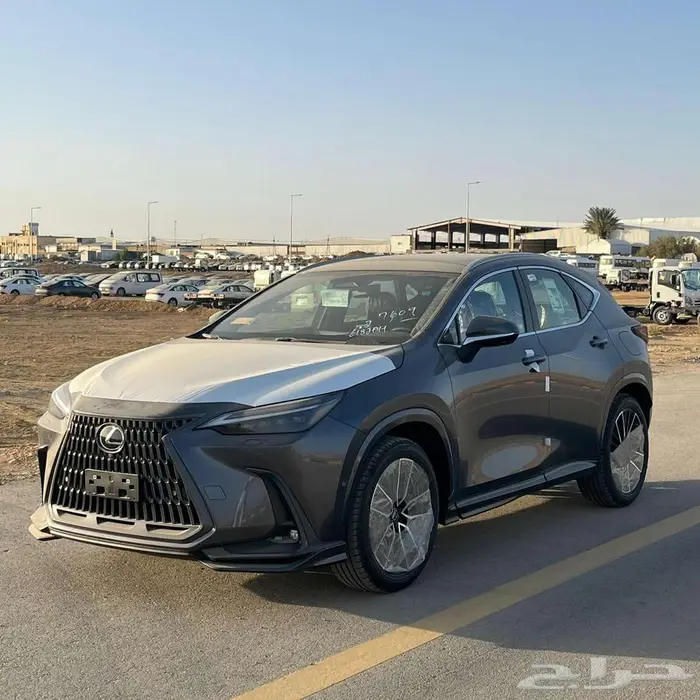 بريدة حي الجزيرة المعارض 2