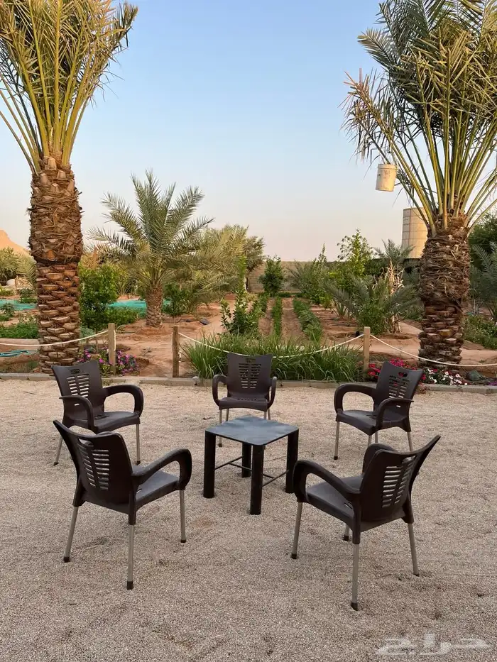 شالية للايجار اليومي مزرعة استراحة 21