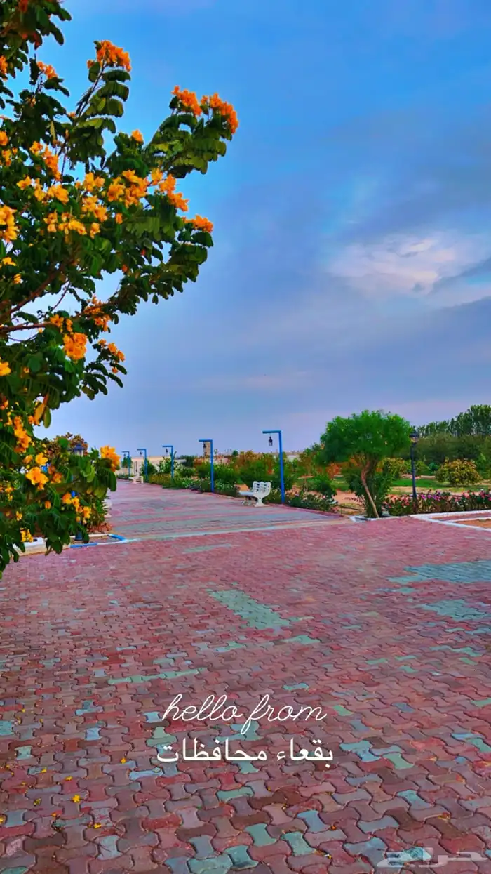 مزرعه منتجع شاليه 24