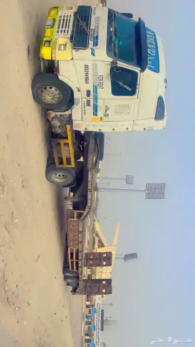 لوبد متوجد في اشرقيه 0