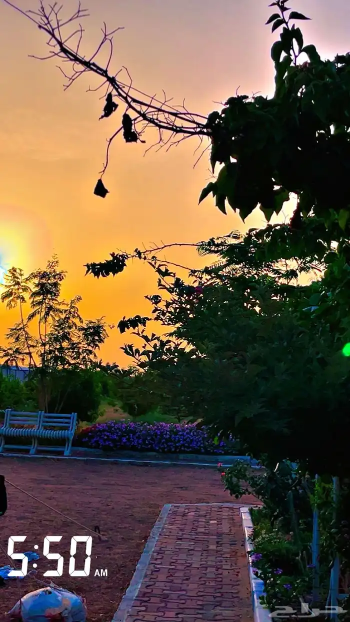 مزرعه منتجع شاليه 21