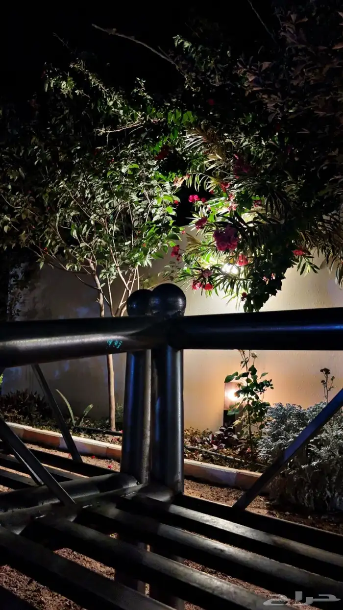 مزرعه منتجع شاليه 22