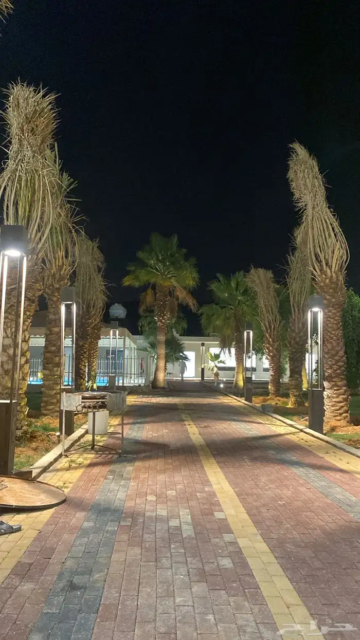 شاليهات للإيجار اليومي 12