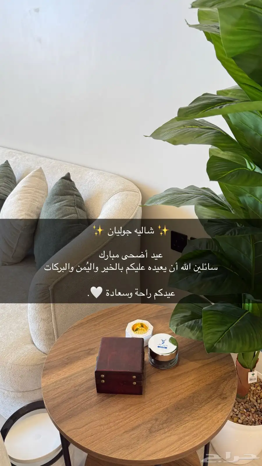 ايجار يومي 21