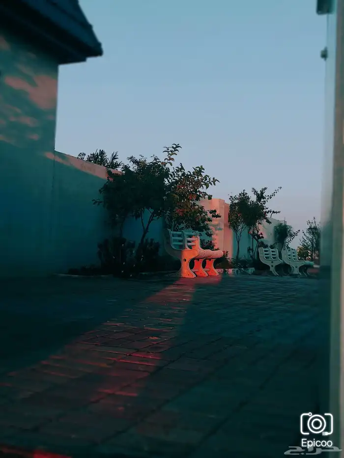 مزرعه منتجع شاليه 25