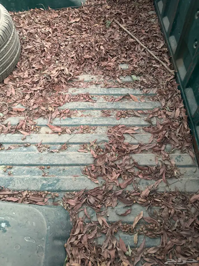 للبيع صندوق c10 نظيف 9