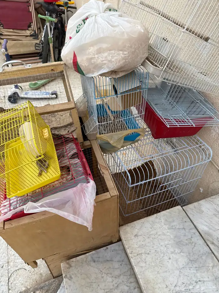شبوك طيور او ارنب 2