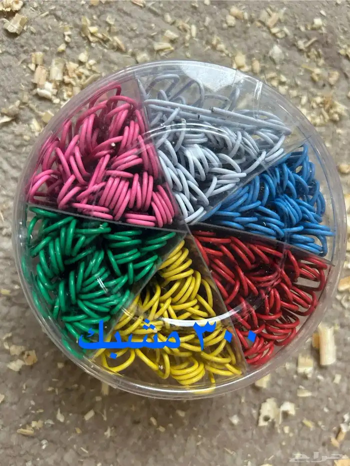حجول اسيام ملونه 8 ألوان 11