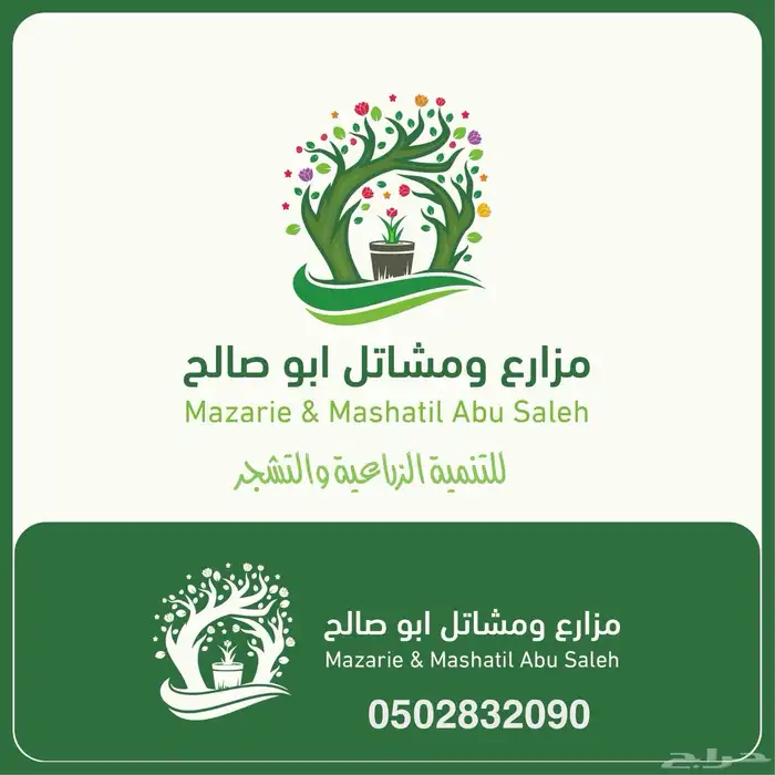للبيع بالجملة جميع ( الأشجار والشتلات )بكافة احجامها  نجران 7