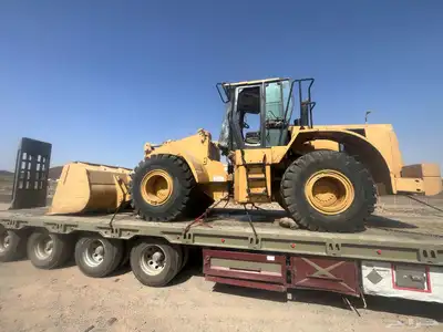 لوبد متواجد في ضباء 0