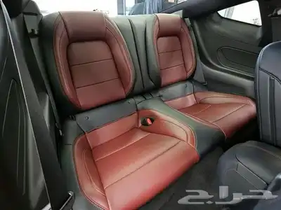 موستنج جي تي 2024 11