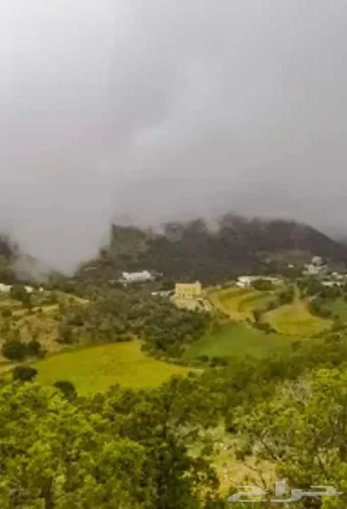 مرشد سياحي ابها 5
