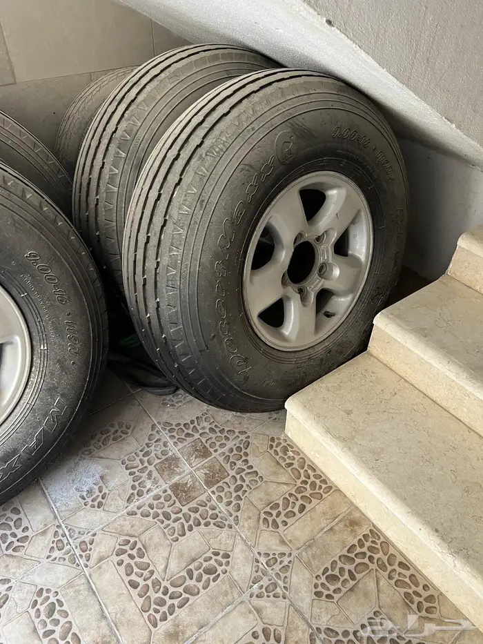 جنوط وبوالين ماكسس 0