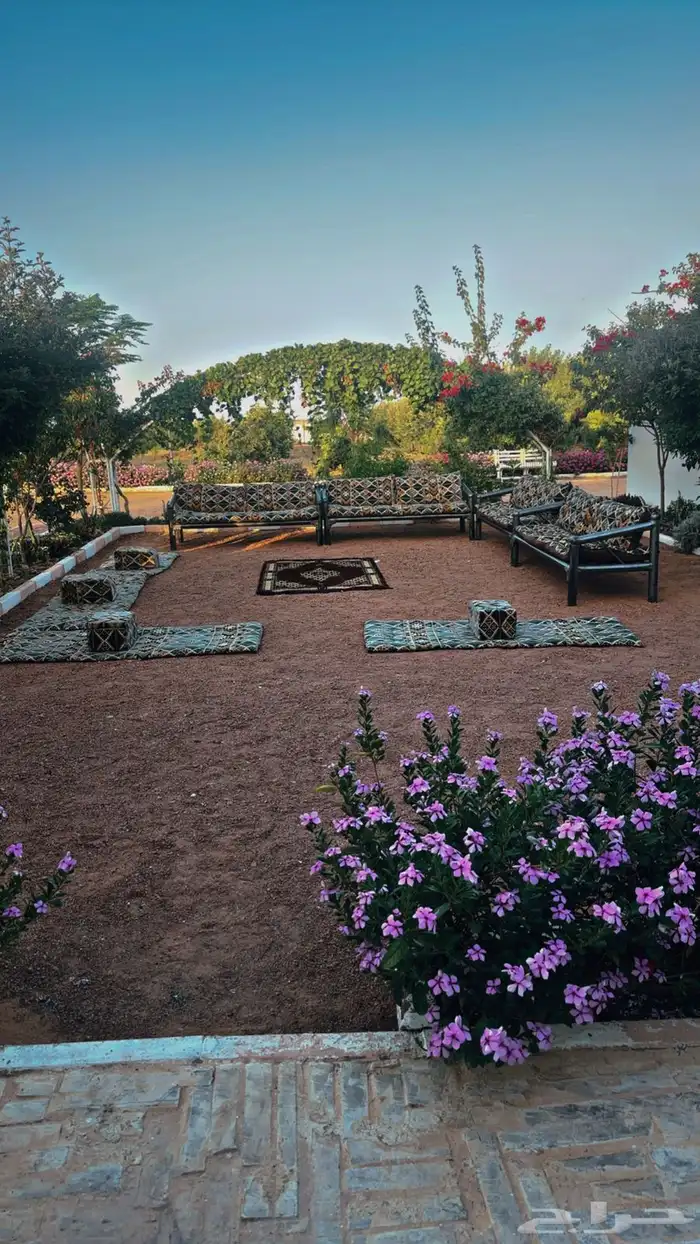 مزرعه منتجع شاليه 19