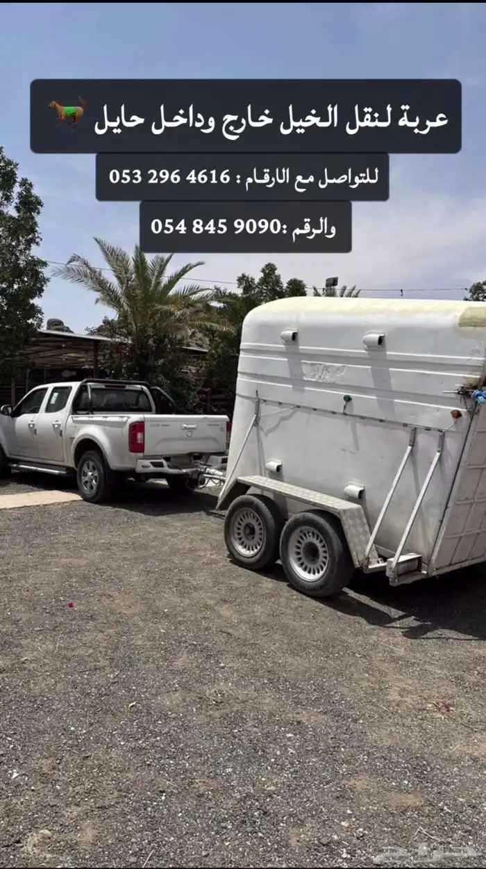 خيل 0