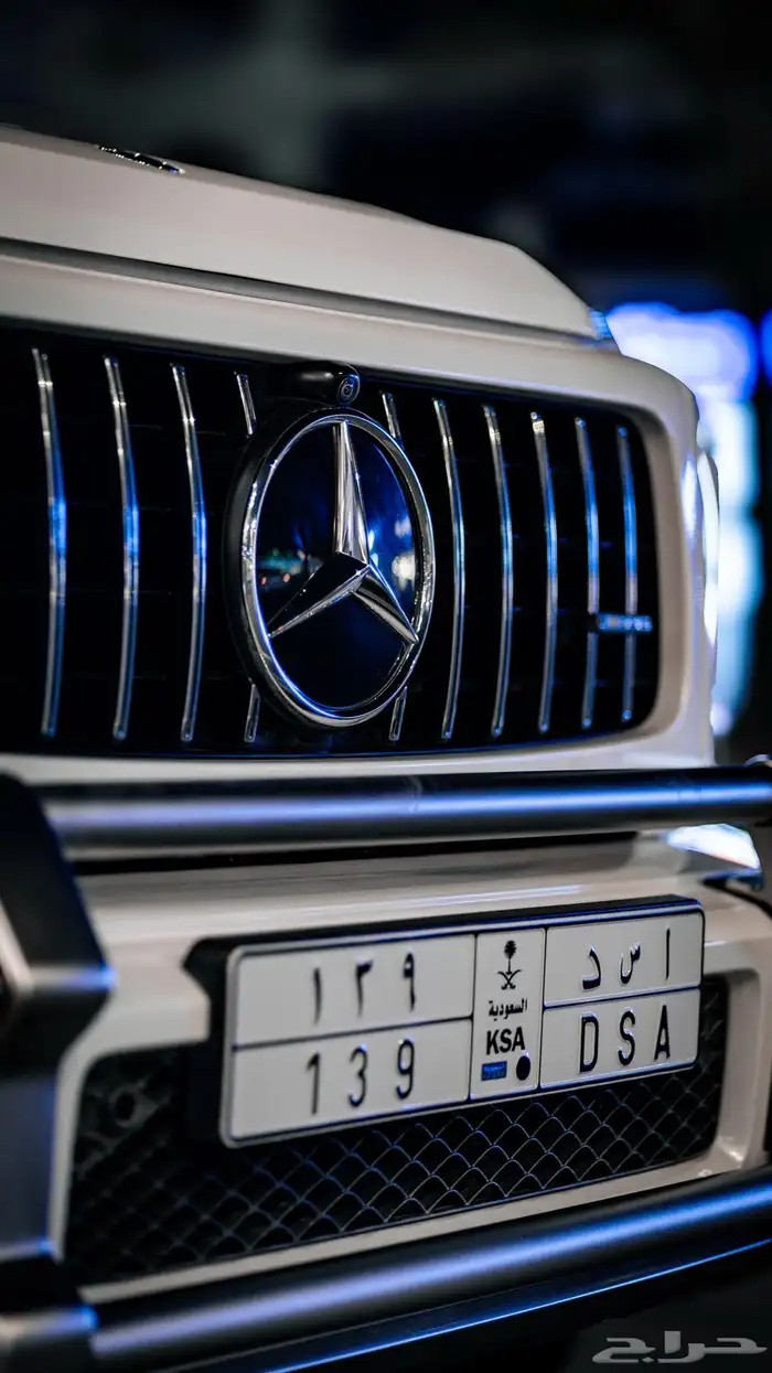 للبيع لوحة مميزة ( أسد) 0