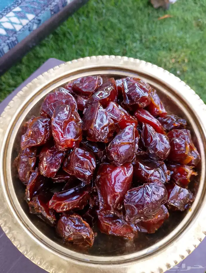 تمر سكري ومكتومي 1