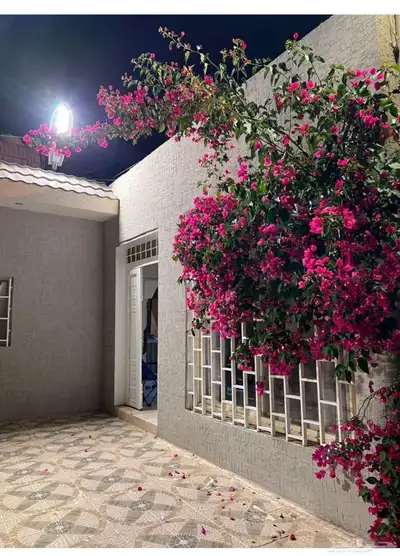 استراحه في النماص بملعب للايجار الاسبوعي والشهرى 3