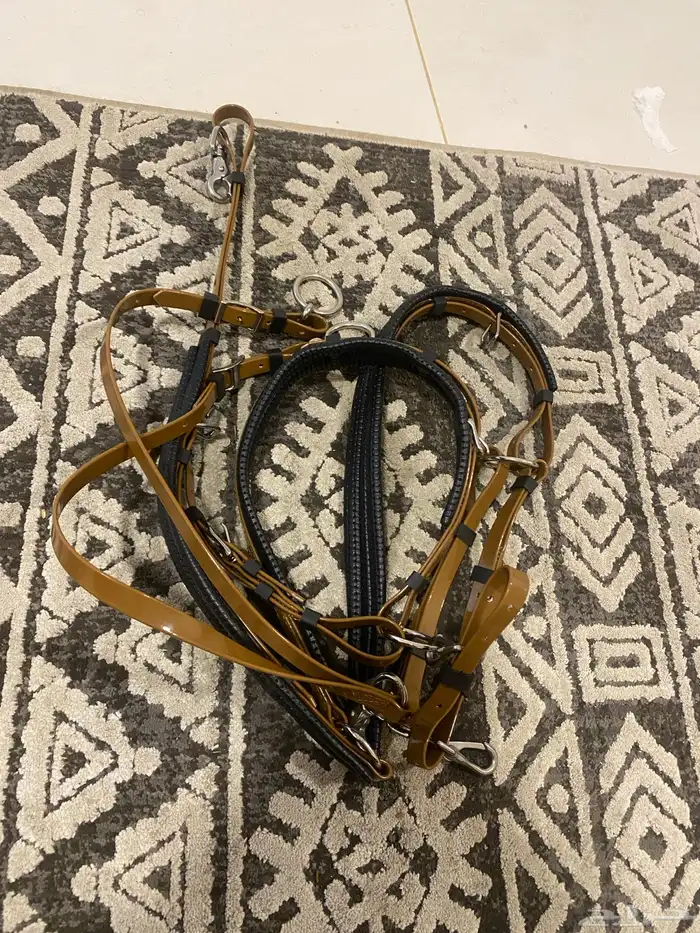 الخيل 6