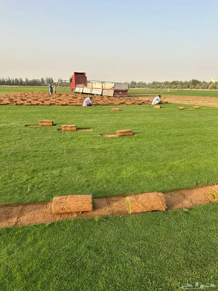 ثيل سي الفين درجه اولي صافي و نظيف. 2