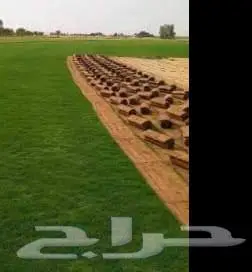 ثيل طبيعي وجميع انواع الزرع الطبيعي 0