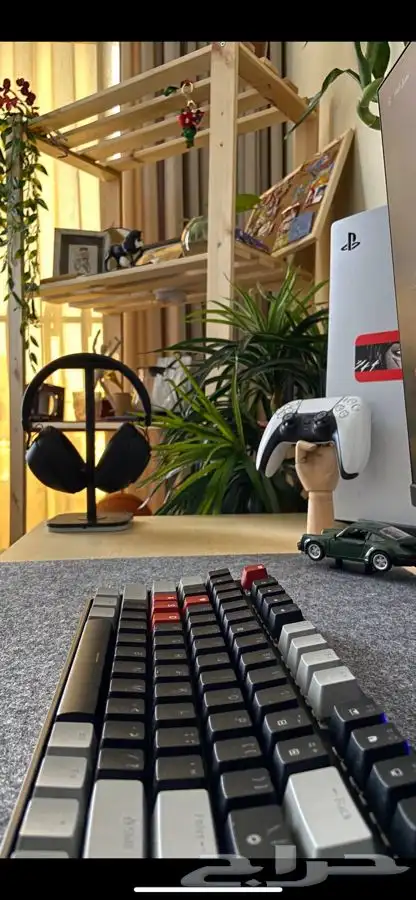 للبيع 4