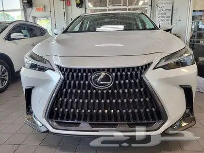 2023 Lexus NX 250 Signature 1