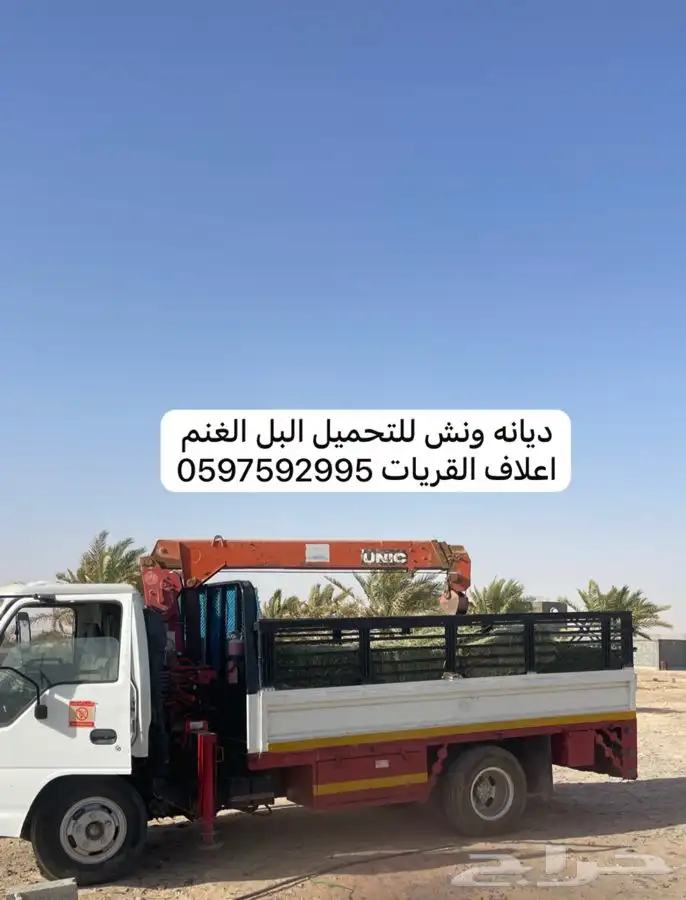 ديانه ونش لنقل البل والمعدات الزراعيه والأعلاف في القريات 0