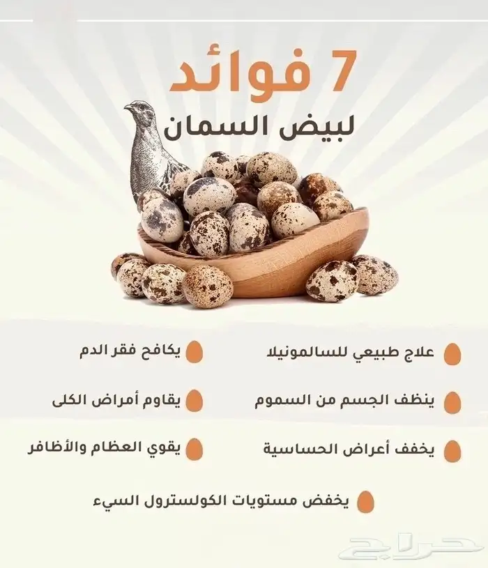 نوفر بيض سمان 0