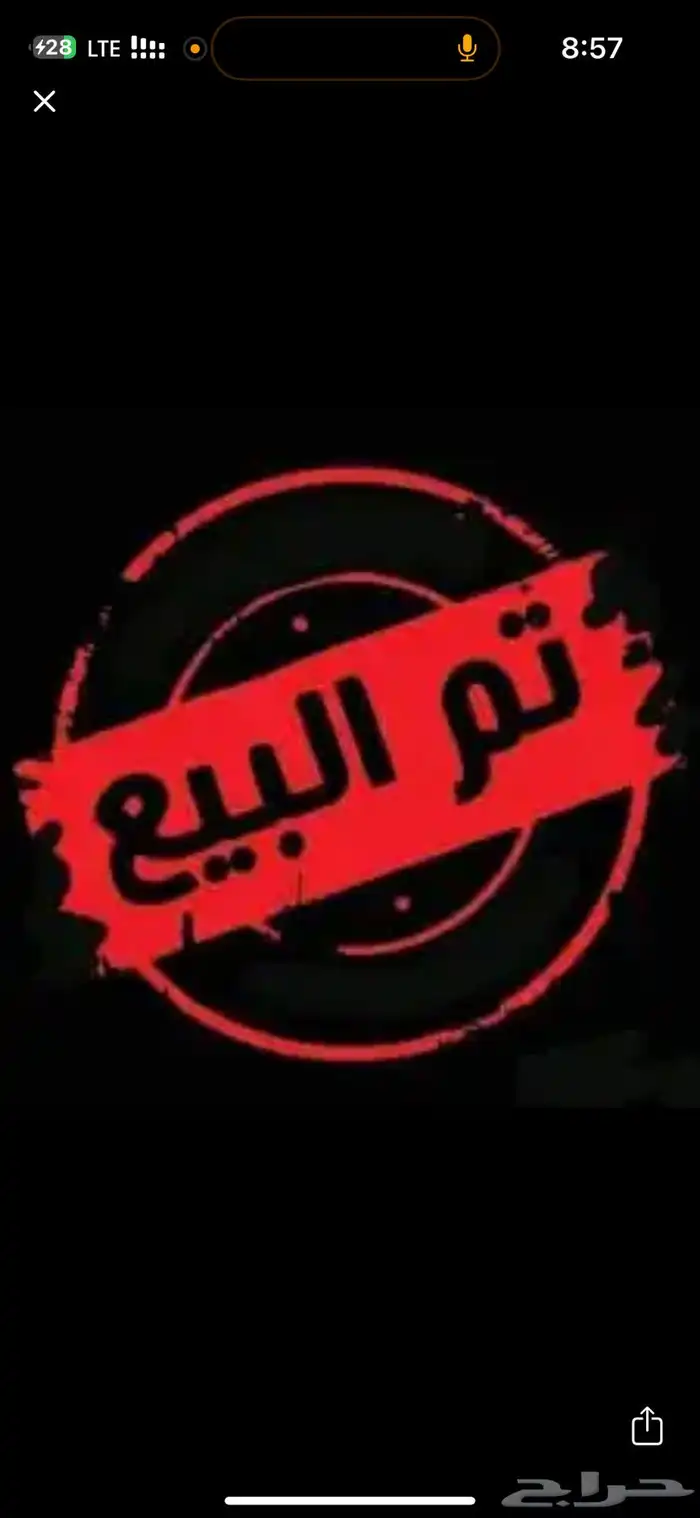 تيس قزمي 0