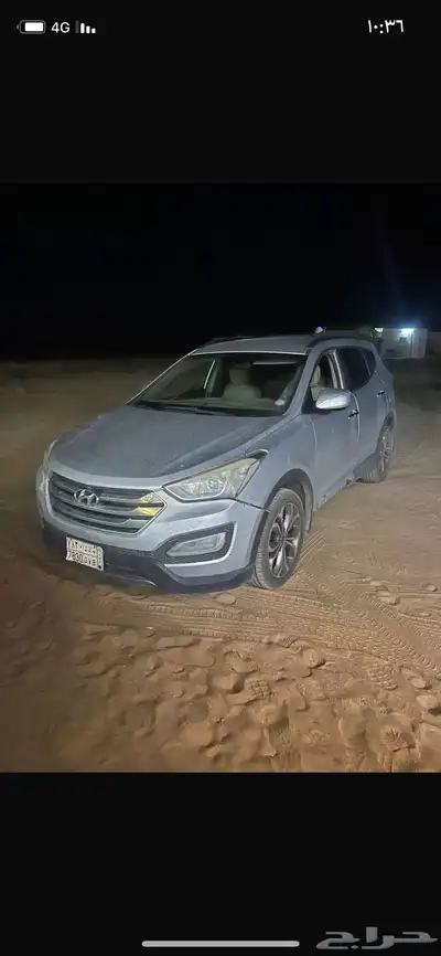 سنتافي 2013 1