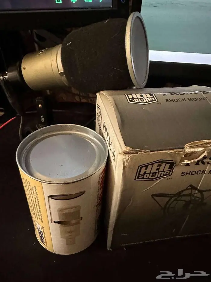 مايك Heil PR 40 المميز 10
