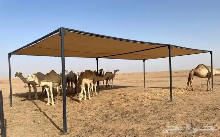 مظلات ابل مظلات غنم جميع المقاسات 7